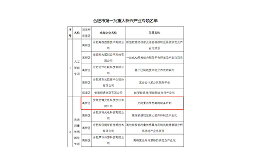 热烈庆祝至博光电“光测量与传感高端装备研制项目”成功入选合肥市重大新兴产业专项