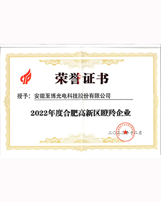 2022年度合肥高新区瞪羚企业